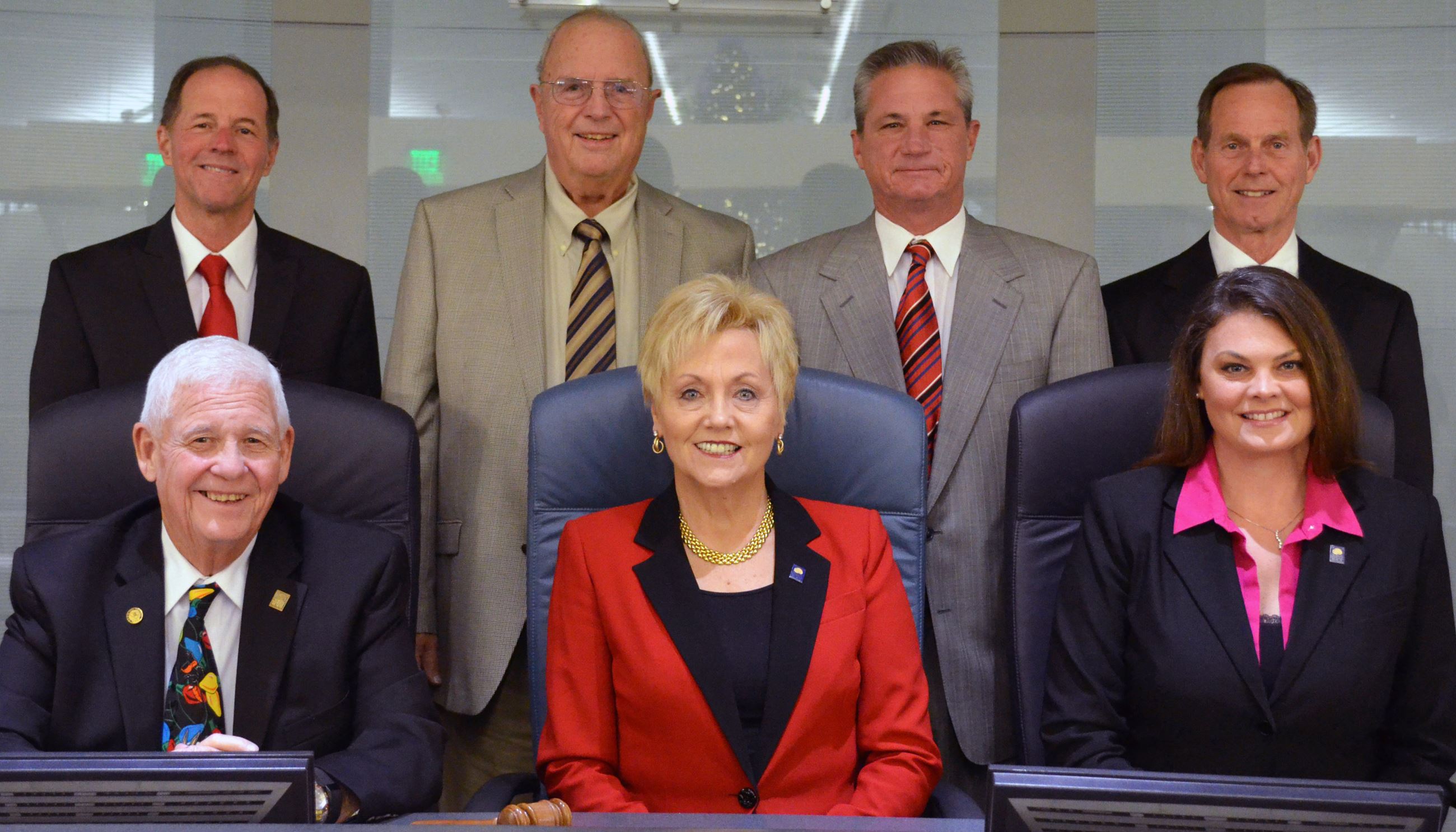 NMB City Council Photo for FY 2015 Annual Report