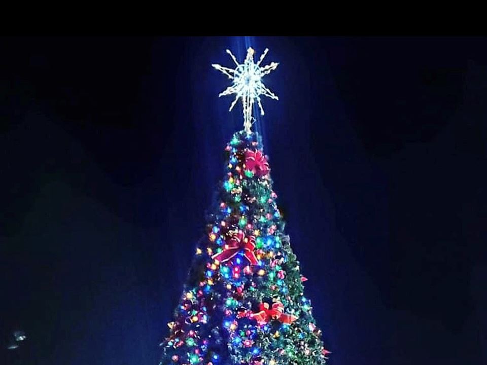 Christmas Tree 2020 CROPPED