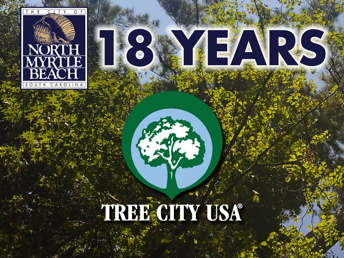 Tree-City-18-Years-news