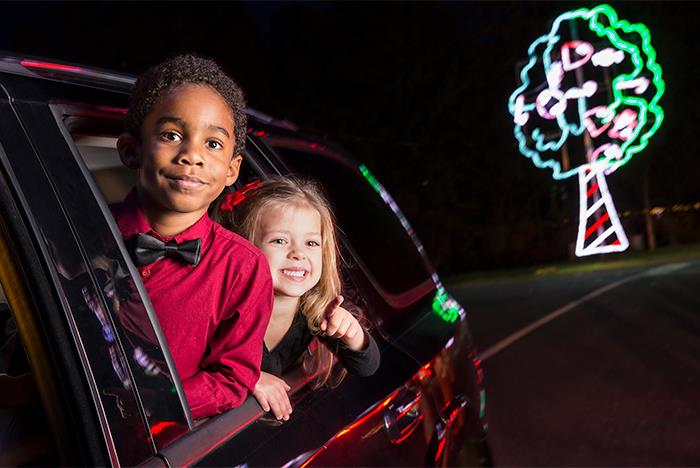 _The_Great_Christmas_Light_Show_(44545)